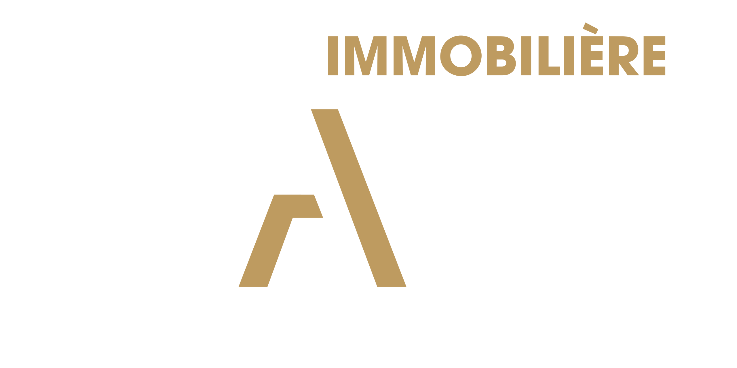 gestion immobiliere AB (1)
